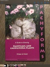 A Guide To Growing PACHYCAUL
