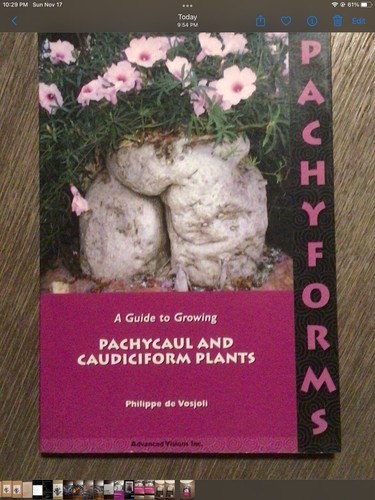 Guide growing pachycaul - guide, to