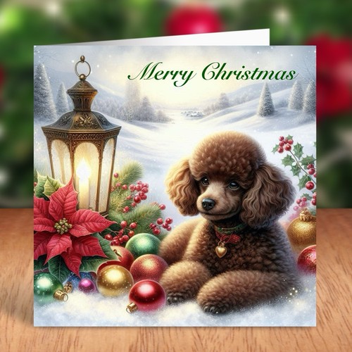 Miniature poodle dog christmas - miniature,