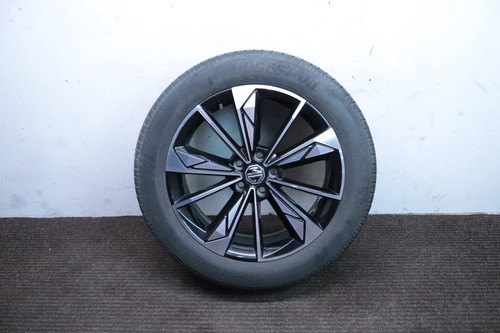 2024 trophy alloy - mg,