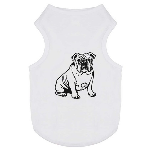 English bulldog pet - pet, /