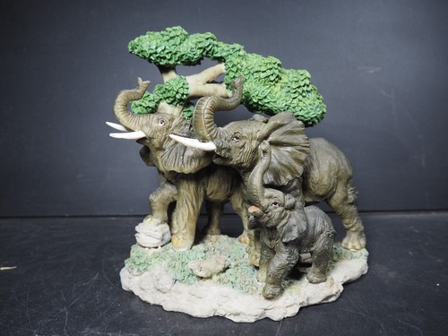 Large family elephants - large,