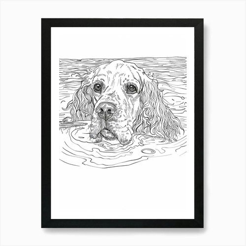 English springer spaniel line - english,