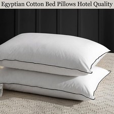 100% Egyptian Cotton Extra