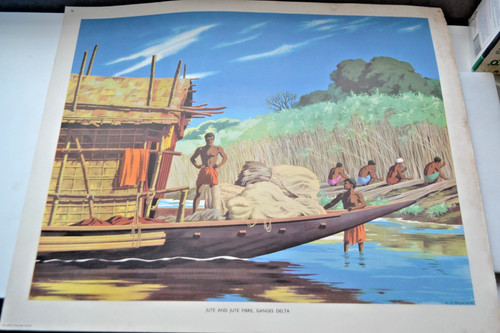 Macmillan school poster - macmillan,