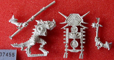 Lizardmen Army Box Standard Bearer 2003 Seraphon Metal Games Workshop Warhammer