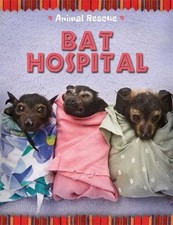 Bat Hospital (Animal