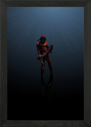 Spearfishing rewards framed - rewards,