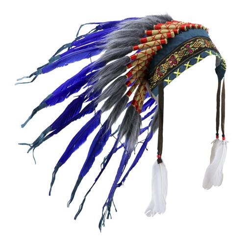 Indian native american chief - native,