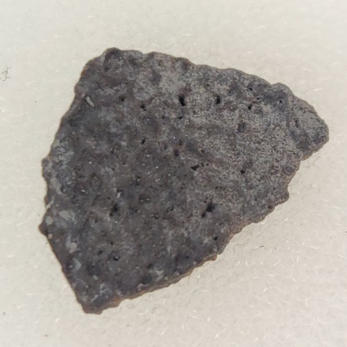 Hadrosaur egg shell fossil - hadrosaur,