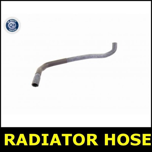 Radiator hose for - hose, clk