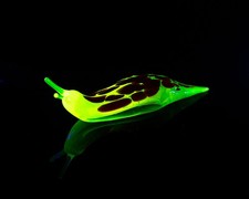 Deep Bronze Red Uranium Glass
