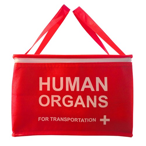 Human organs cool - organs, school
