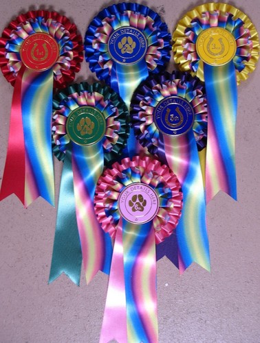 Rosettes new rainbow ribbon - rainbow, 2