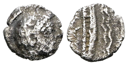 Phoenicia aradus circa - phoenicia,, aradus.