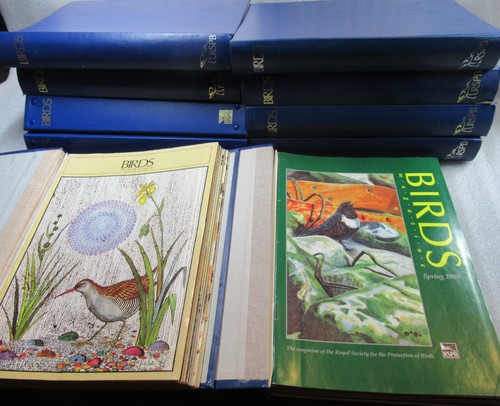 Rspb birds magazine - rspb,