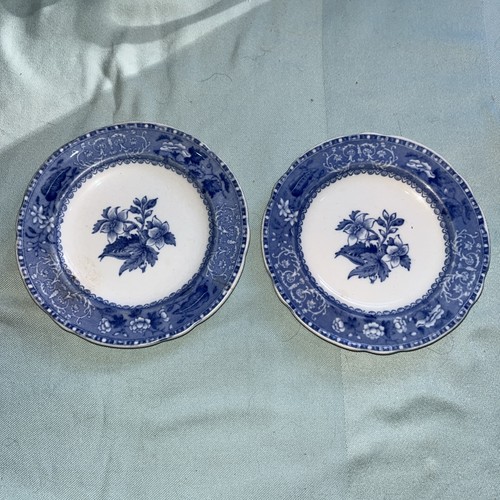 Vintage spode camilla blue - x,