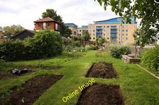 Photo 6x4 Vegetable plots in