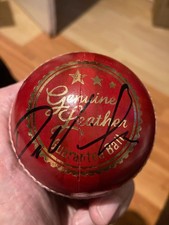 Dane Vilas (ex-Lancashire &