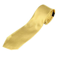 Mens Premium Silk Satin Solid Plain Tie Necktie Slim Tie Wedding Party Suit