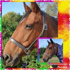 FREE LEADROPE WORTH 7.99