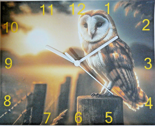 Barn owl wall hanging - hanging, clock