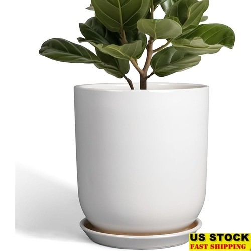 Large ceramic plant pot - large, w/