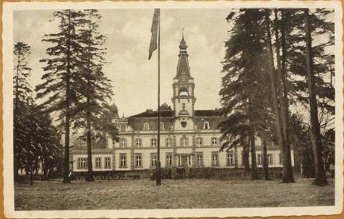 Postcard standard - postcard,