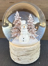 Heaven Sends Snowman in Forest