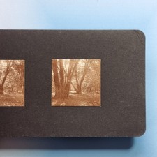 Enfield Stereoview 3D C1925 Real Photo London Suburbs Old Beeches Winchmore Hill