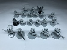 Neophyte Hybrids (x20) #1 -