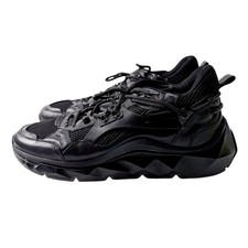 Acupuncture Ginger Lion