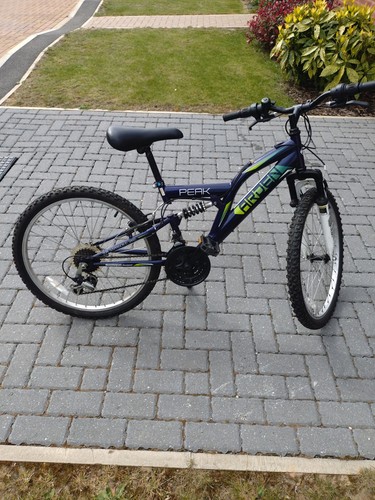 Mountain bike - mountain,