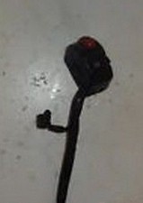 TRIUMPH TT 600 2000 2001 2002