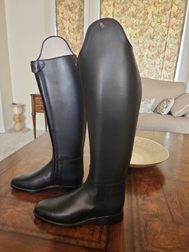New petrie olympic dressage - new,
