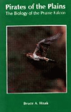 Pirate of the Plains: Adventures with Prairie Falcons in the... - Haak, Bruce