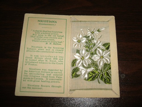 Kensitas silk flowers - kensitas,