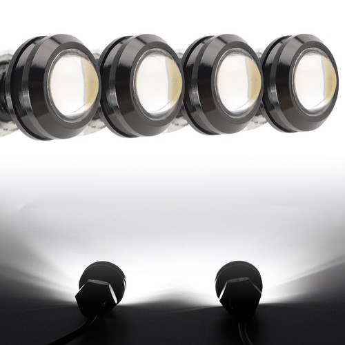4pcs 12v led spot eagle - 4pcs, eye