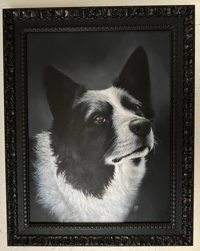 Oil painting border collie dog - collie,