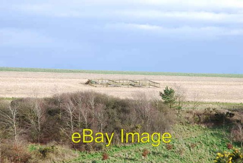 Photo 6x4 pheasant pens - pheasant, on