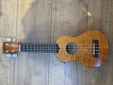 Kala Electro Acoustic Exotic