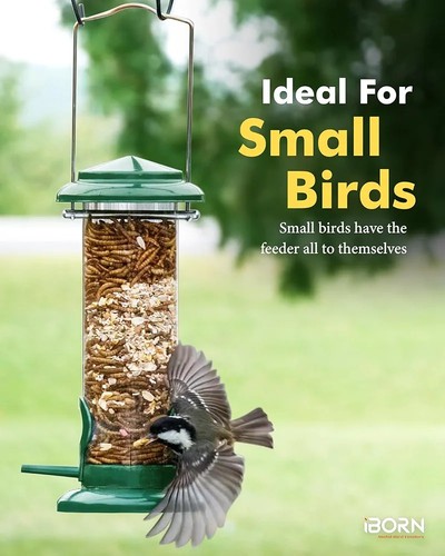 Iborn metal bird feeder - metal,