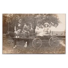 Girl Riding In Pony Wagon RPPC