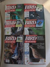 Vintage Bird Watching