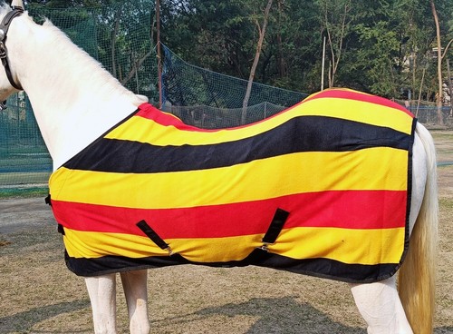 Fleece horse rug newmarket - horse,