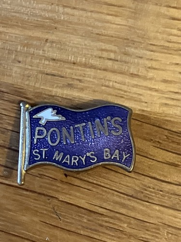 Pontins holiday camp enamel - pontins,