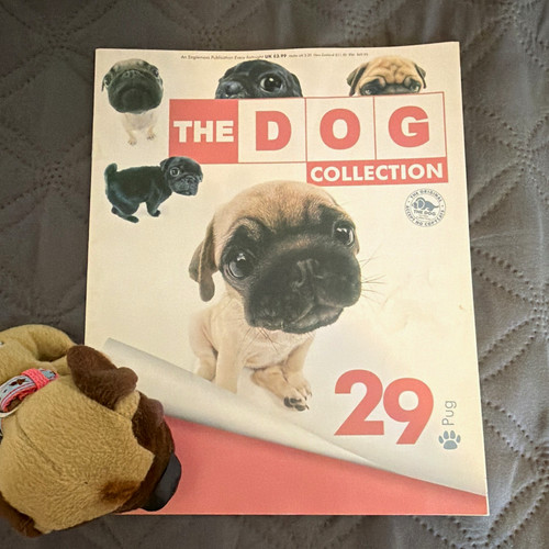 The dog collection issue - dog,