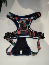 Twiggy tags dogs adventure