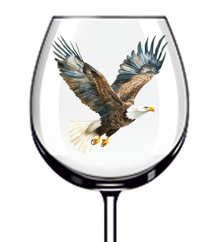 12x watercolor bald eagle - bald,