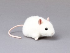 Kösen 5561 Mouse "Beep" 10cm